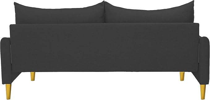 66.9“ Loveseat SofaModern Small Couches for Small SpacesSolid Wood LegsMini CouchMini loveseat with 2 PillowsSuitable for Living Room Bedroom Apartment (Dark Grey)