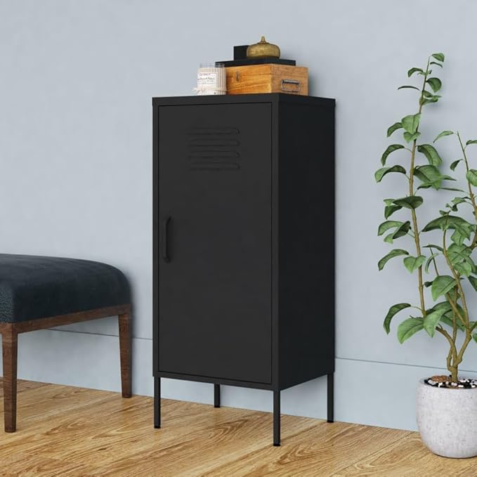 Metal Storage Cabinet with Single Doors and 2 Adjustable Shelves Steel Garage Storage Cabinet File Cabinet Counter Cabinet for Home Office Garage Gym School 16.7x13.8x40 Black -AA