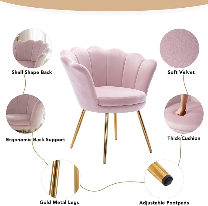 chairus Light Pink Makeup Vanity Chair with Back Modern Velvet Upholstered Small Accent Chair with Gold Metal Legs Cute Shell Shaped Vanity Stool Desk Chair for Living Room Bedroom Dressing Room