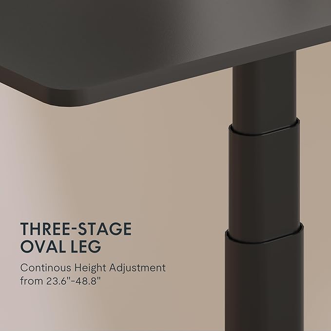 FLEXISPOT E6 Pro Oval Dual Motor 3 Stages Standing Desk Oval Leg Height Adjustable Electric Stand Up Desk Frame Only (Black)