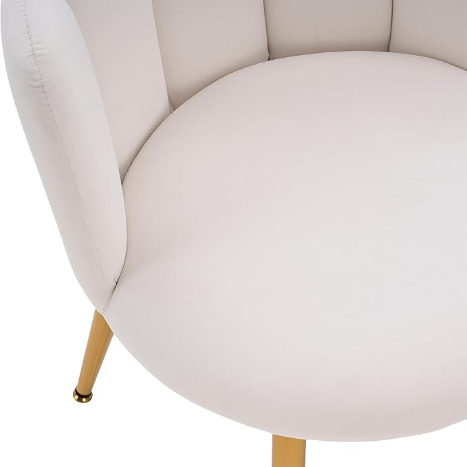 Dining Chairs Set of 2 Modern Dining Room Chairs Modern Cute Velvet armless Accent Chair with Gold Legs for Living Room/Bedroom/Kitchen (2 White)