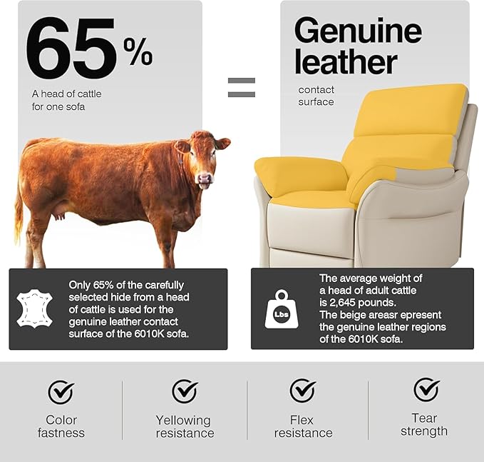 AIRSKY Genuine Leather Recliner Chair Top Grain Leather Italian Water-Washing Process Lazy boy Recliner Chair for Living Room Theater Seating Bedroom BeigeR1