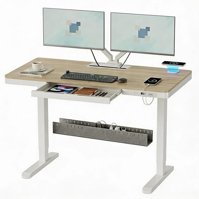 Electric Standing Desk with Drawer &amp Wireless Charging Height Adjustable Sit Stand Desk with USB Charging Station Hidden Cable Management Tray 48 Ergonomic Home Office Computer Desk Light Woo