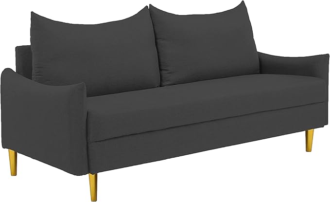 66.9“ Loveseat SofaModern Small Couches for Small SpacesSolid Wood LegsMini CouchMini loveseat with 2 PillowsSuitable for Living Room Bedroom Apartment (Dark Grey)