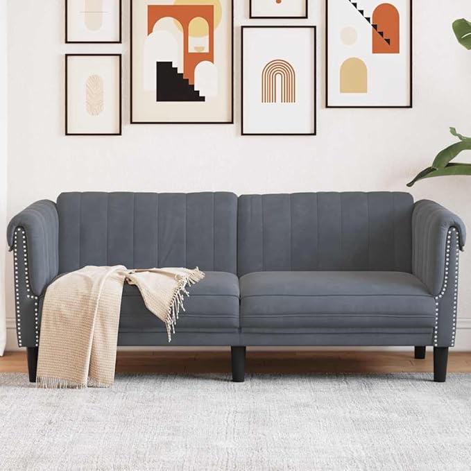 vidaXL Dark Gray Velvet 2-Seater Upholstered Loveseat - Comfortable Modern Couch with Supportive Legs for Living Room