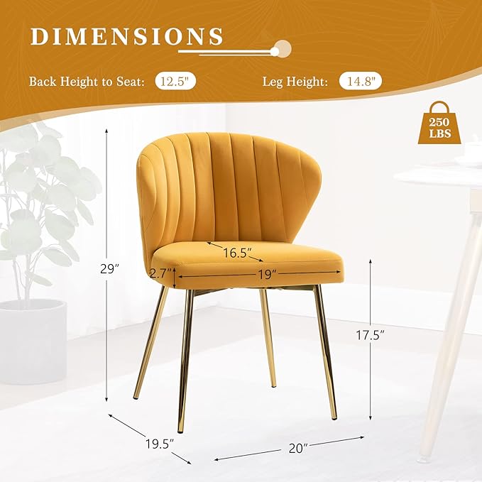 HULALA HOME Velvet Dining Chair Cute Armless Accent Chair Living Room Chair with Golden Legs Mid Century Modern Upholstered Side Chair for Kitchen Vanity Mustard