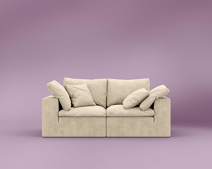ROVE LAB R4 Loveseat Sofa – Cloud-Soft SmartFoam® Comfort – Modular No-Tool Setup – 100% Foam Structure – Hypoallergenic Spill-Resistant (Performance Weave Silicon Sand)