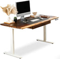 Walnut Standing Desk with Drawer - W60 x D27 Solid Wood Live Edge Adjustable Height Sit Stand Desk - Stable Dual Motor with Memory Presets Quick Assembly - Stand Up Home Office Table by MWS Studio
