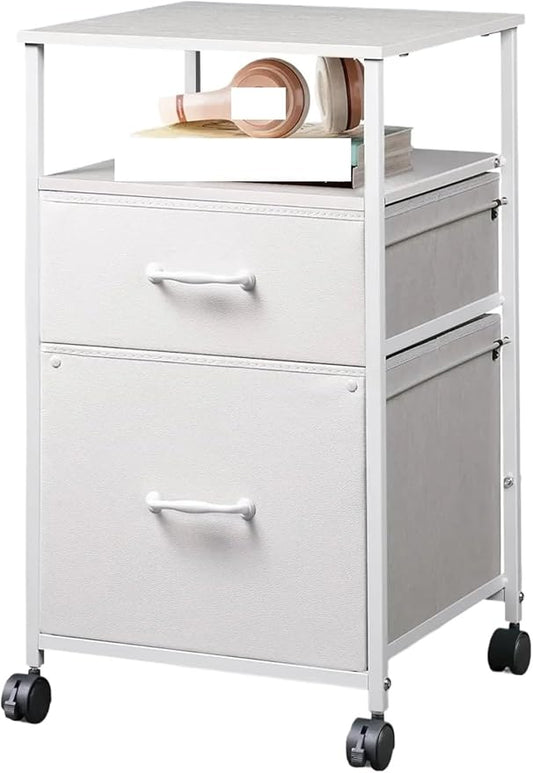 Mobile File Cabinet 2 Drawer Mobile File Cabinet Rolling Printer Stand with Open Storage Shelf