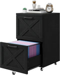 Vabches Farmhouse File Cabinet with 2 Drawers Vertical Filing Cabinet on Wheels for Letter/A4 Size Hanging Files Mobile File Cabinets Printer Stand for Home Office Black