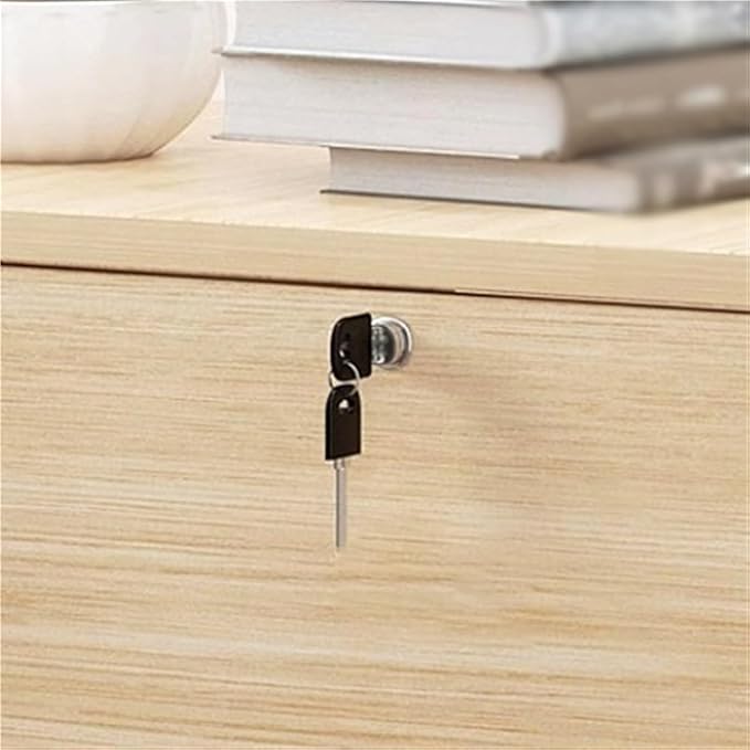 Lockable Filing Cabinet for Office Removable Low Storage Cabinets(B)
