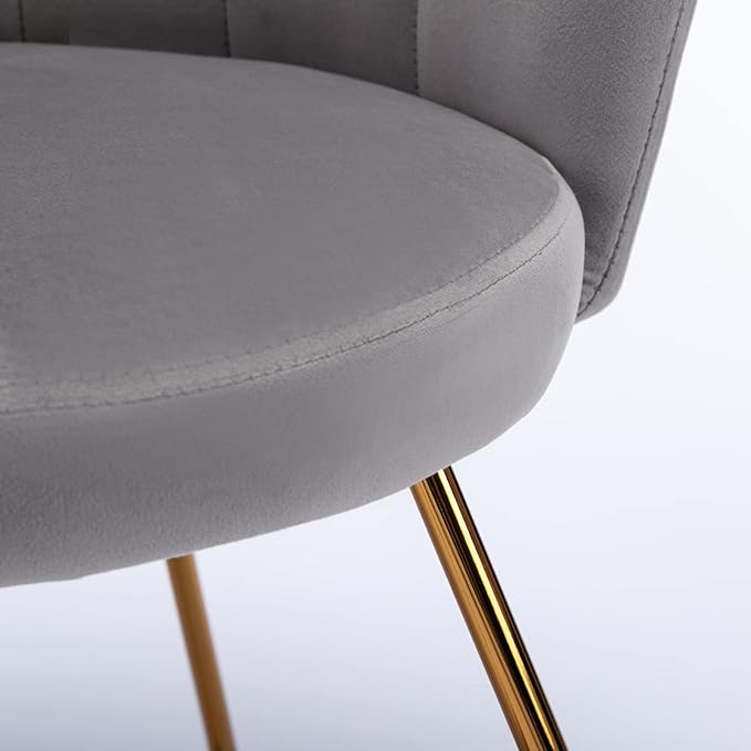 Velvet AccentConversation Lounge Chair with Iron Metal Gold Plated Legs Suitable for Office Lounge Living Room Set of 2 Grey