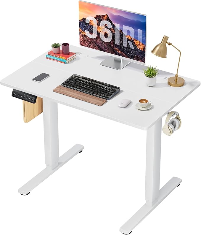 40 x 24 in Electric Standing Desk - Memory Height Adjustable Ergonomic Sit-to-Stand Rising Computer Table Gaming Workstations with 2 Hooks and Wire Hole for Home Office White