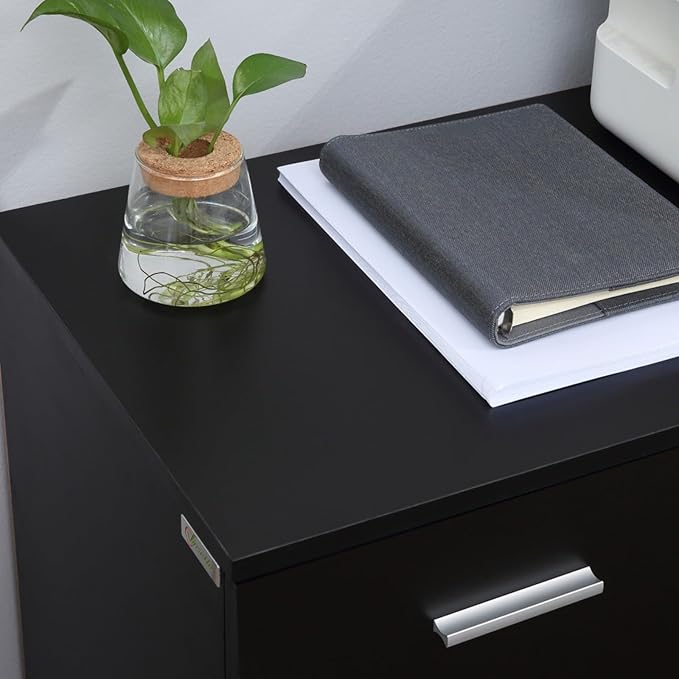 Multifunctional Office Filing Cabinet and Mobile Printer Stand with 2 Drawers Adjustable Shelves Lockable Wheels and Spacious Countertop Ideal for Home Office Study Room