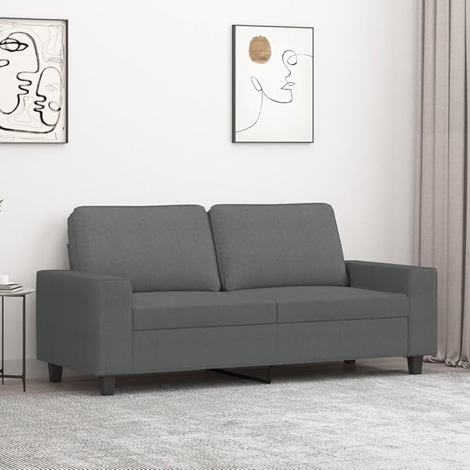vidaXL 2-Seater Fabric Sofa – Simple and Modern Design Comfortable Heavy-Duty Dark Gray Couch – Ideal for Living Room Lounge Office