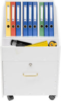 LOYALHEARTDY Mobile PVC File Cabinet with Lock Under Desk Rolling File Cabinets for Home Office Classrooms (White)