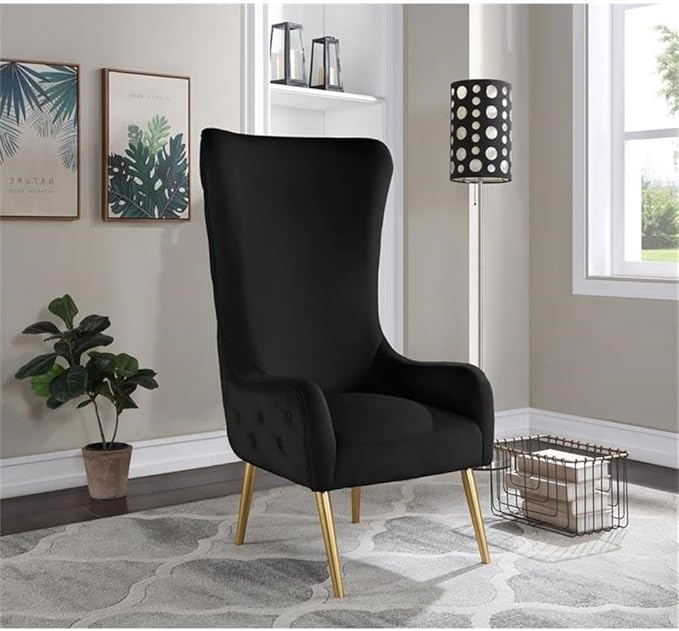 Meridian Furniture 536Black Alexander Collection Modern | Contemporary Velvet Upholstered Accent Chair with Sturdy Gold Metal Legs and Deep Button Tufting on Back 27 W x 33 D x 51 H