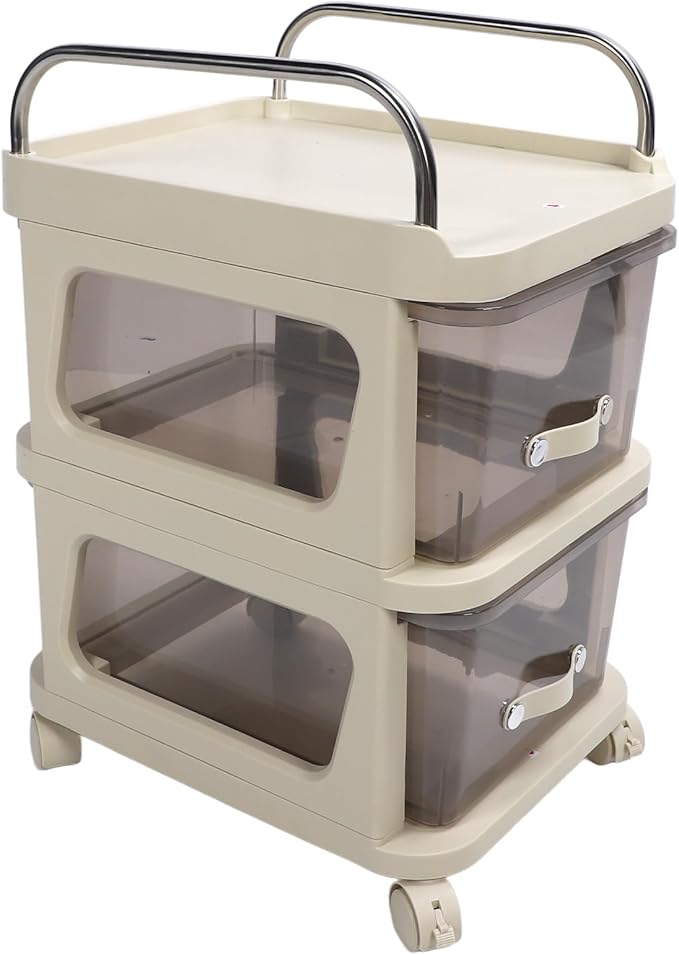 Rolling File Cabinet with Drawers Multifunctional Mobile Filing Cabinet Storage Cabinet with Wheels Large Space for Home Office (2 Tier)