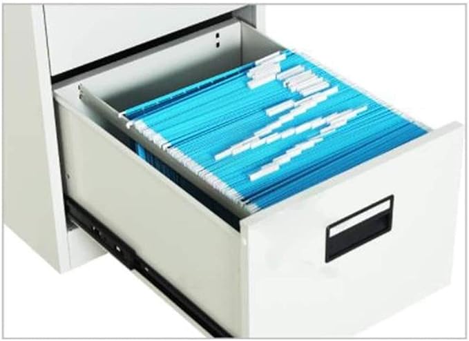 File Cabinets Floor-Standing File Cabinet Large Capacity Push-Pull Drawer Mobile Iron with -Theft Lock(Large)