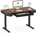 FLEXISPOT Q5 Standing Desk with Drawer 48 x 24 Inch Electric Adjustable Height Stand Up Desk with Storage Organizer Whole Piece Wooden Desktop for Home Office Computer Workstation Dark Walnut