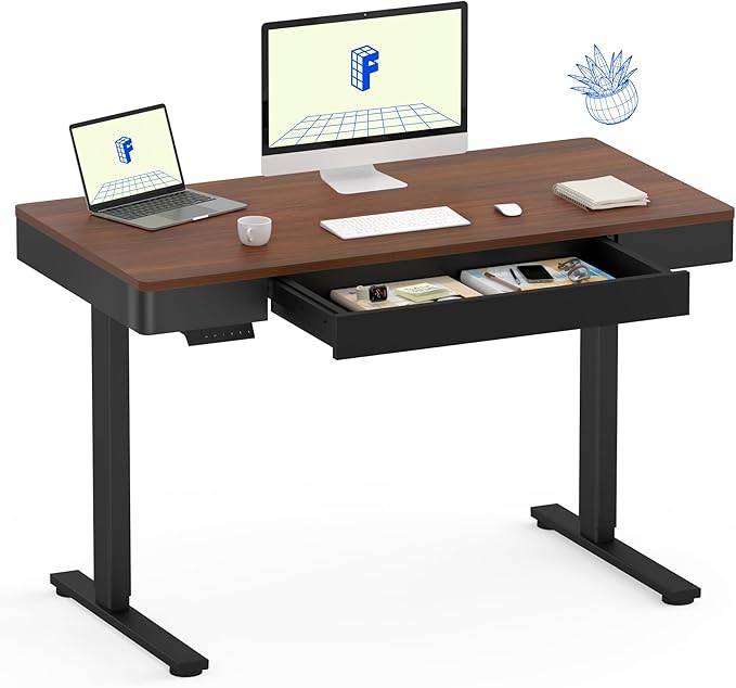 FLEXISPOT Q5 Standing Desk with Drawer 48 x 24 Inch Electric Adjustable Height Stand Up Desk with Storage Organizer Whole Piece Wooden Desktop for Home Office Computer Workstation Dark Walnut