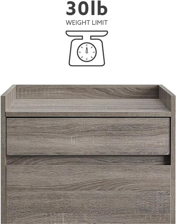Riverbay Furniture Modern Filing Cabinet 2-Drawer Wood Frame Gray Veneer Finish Compact Office Storage with Hanging File Drawer and Printer Stand 27.13 in H x 22 in W x 17 in D