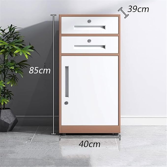 Large Capacity File Storage Cabinet Thickened Steel Office Organizer with Smooth Gliding Drawers Modern Locking Cabinet for Documents Printer Supplies (Gris)