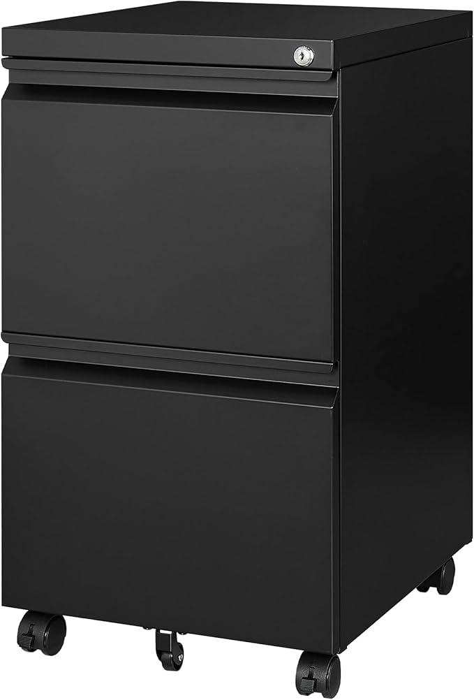 Mobile File Cabinet with Lock - 2 Drawer Small Rolling Cabinet for Home Office Legal/Letter/A4 (Black)