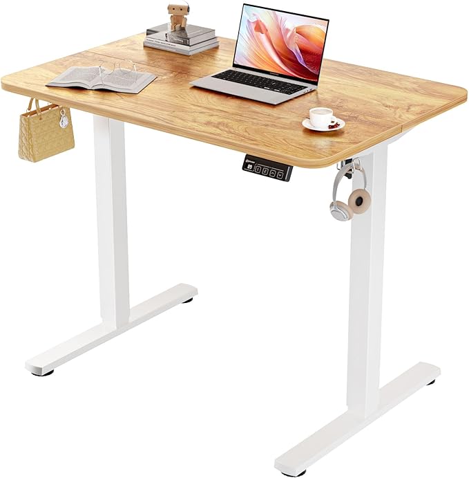 ERGOMAKER 35 Electric Standing Desk Adjustable Height Sit Stand Up Desk for Home Office &amp Computer Workstations Memory Controller Light Rustic Brown