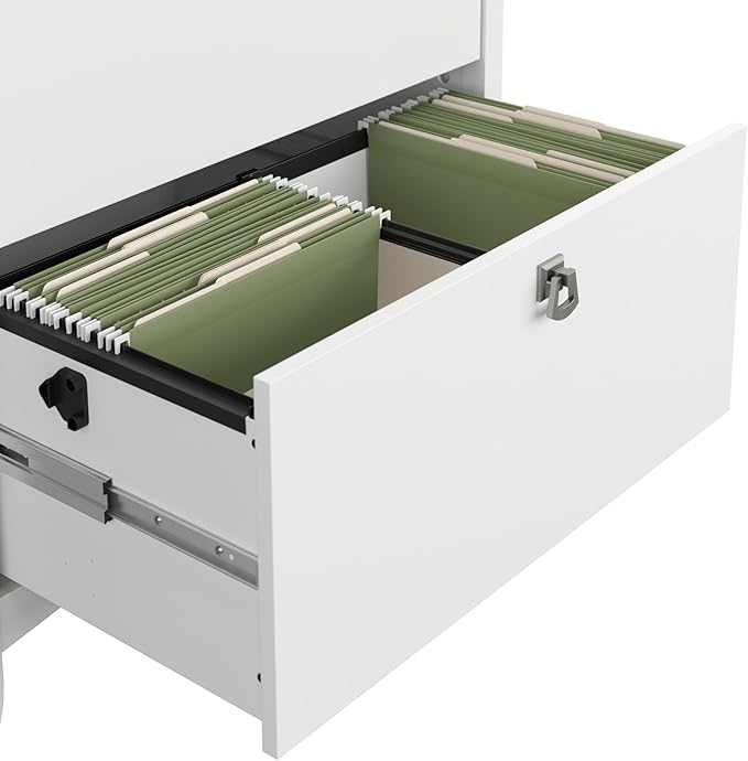 Bush Home Salinas 2 Drawer Lateral File Cabinet in Shiplap Gray and Pure White Home Office Storage Solution Organizer with Drawers for Workspace Filing Unit