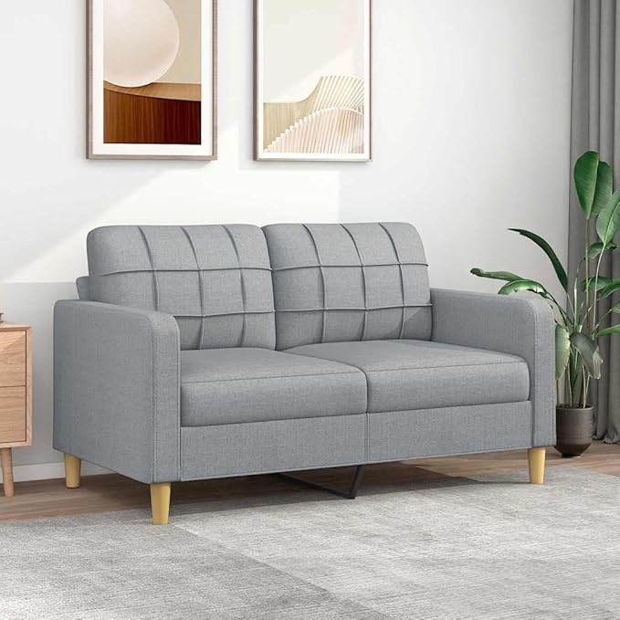 vidaXL Fabric Sofa 2-Seater Lounge Couch with Metal Frame Modern Light Gray Fabric Sofa for Living Room Lounge Bedroom Indoor Use Dimensions: 62.2 x 30.3 x 31.5