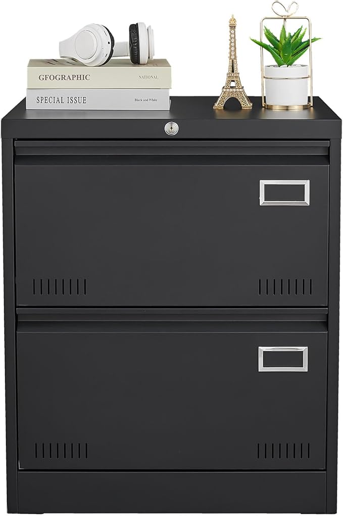 2 Drawer Metal Lateral File Cabinet with Lock Office Vertical File Cabinet for Home Office Legal/Letter/A4 Size Locking Metal File Cabinet Assembly Required Storage Drawers (Black)
