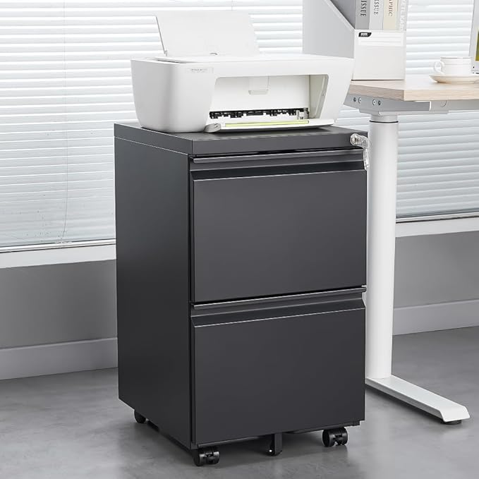3-Drawer Mobile Filing Cabinet with Lock Metal Filing Cabinet to be Installation Required (2 Drawer Black)