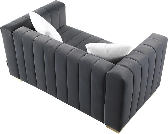63'' Modern Premium Velvet 2-Seater Couch/Loveseat Sofa with Metal Base Legs and 2 Pillows for Living Room/Bedroom