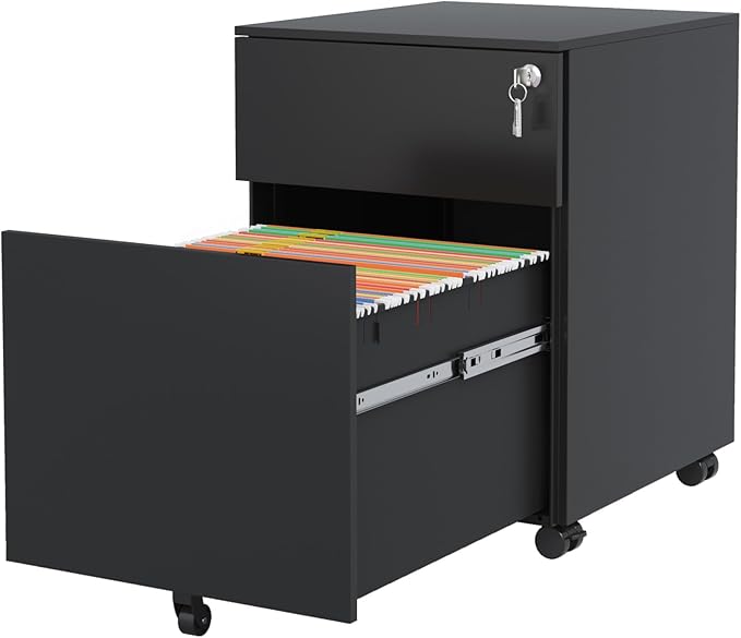Mobile File Cabinet 2 Drawer Steel Locking File Cabinet for Home Office Legal/Letter/A4/F4 Size Black Fully Assembled
