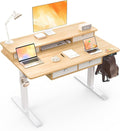 Electric Standing Desk 48 * 30 Inches Adjustable Height with 4 Drawers Double Storage Shelves Home Office Workstation Sit Stand up Desk (Nature)