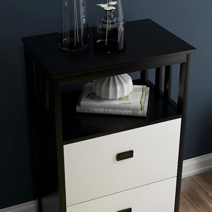 HASMI Filing Cabinet 2 Drawer Vertical File Cabinet with Open Storage Shelves Modern File Cabinet Lateral Filing Cabinet for Home Office Furniture Storage Cabinet