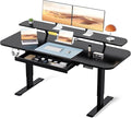 COMHOMA Electric Standing Desk with Drawers 55 x 24 Inch Sit Stand up Desk with Monitor Stand Laptop Stand Height Adjustable Home Office Computer Desks with Memory Preset Controller (Ebony Black)