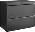 2 Drawer File Cabinet File Cabinets for Home Office Printer Stand File Cabinet with Lock Lateral Filing Cabinet for A4/Letter/Legal Size File Folders Assembly Required(Black)