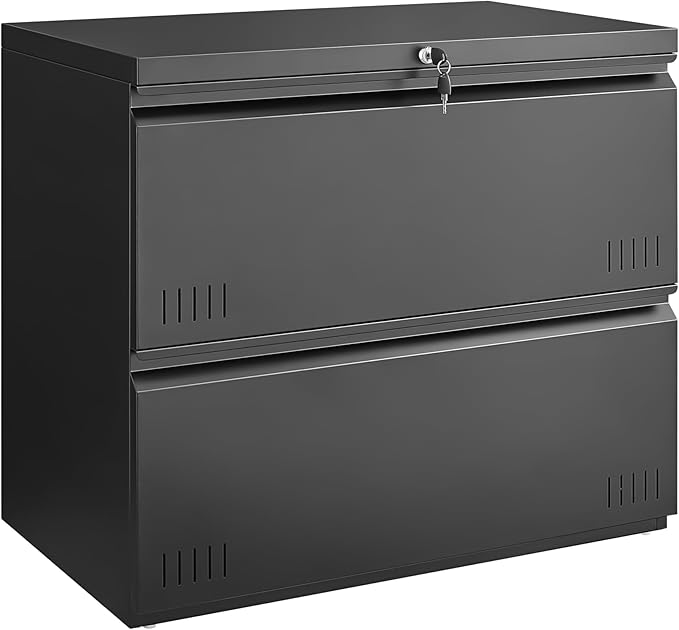 2 Drawer File Cabinet File Cabinets for Home Office Printer Stand File Cabinet with Lock Lateral Filing Cabinet for A4/Letter/Legal Size File Folders Assembly Required(Black)