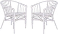 Safavieh Home Adriana Coastal White Rattan (Set of 2) Accent Chair (ACH6505B-SET2)
