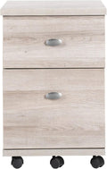 2 Drawer Mobile File Cabinet