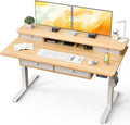Kingant 55 x 30 Inch Electric Standing Desk with 4 Drawers Adjustable Height Computer Desk for Home Office Large Workstation Sit Stand Up Desk with Built-in USB A/C Charging Ports Nature