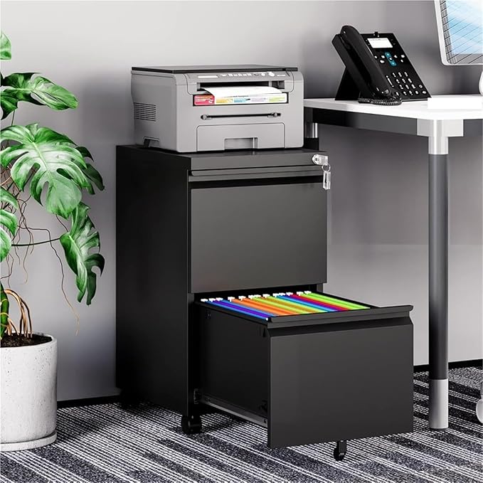 Mobile File Cabinet 2 Drawer On Wheels Home Office Mobile Under Desk with Lock Vertical Files Drawers for Legal/Letter/A4 Filing Cabinets