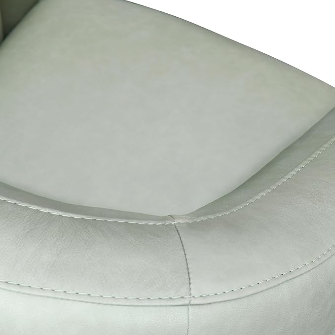 Armen Living Desi Mint Leather Swivel Accent Chair