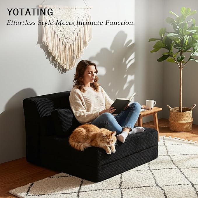 Folding Sofa Bed with Pillow Convertible Sleeper Chair Comfy Floor Futon Couch Mattress Lounge Sofa for Adults Portable Fold Out Chair Bed for Living Room Bedroom Single Black