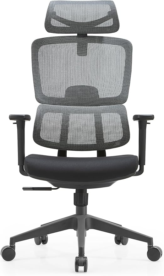 Premium Mesh Executive Home Office Desk Chair with Ergonomic Lumbar Black
