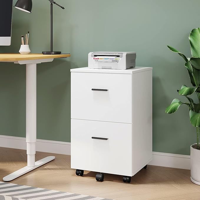 Panana 2 Drawer Mobile File Cabinet Wood Rolling Filing Cabinet Printer Stand Under Desk Storage Organizer Fits Letter Size File Folders for Home Office (White)