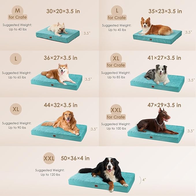 EHEYCIGA Orthopedic Medium Dog Beds for Small Dogs with Removable Washable Cover for Crate Turquoise Blue 30x20