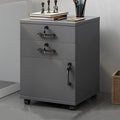 File Cabinet with Lock and Drawer 2-Drawer Vertical Filing Cabinet with Doors Mobile Under Desk Storage Cabinet with 360° Swivel Wheels for Legal/Letter/A4 Documents(Gray)
